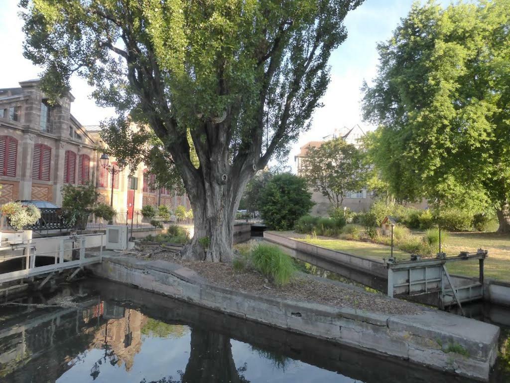 Chez Pauline Apartman Colmar Kültér fotó