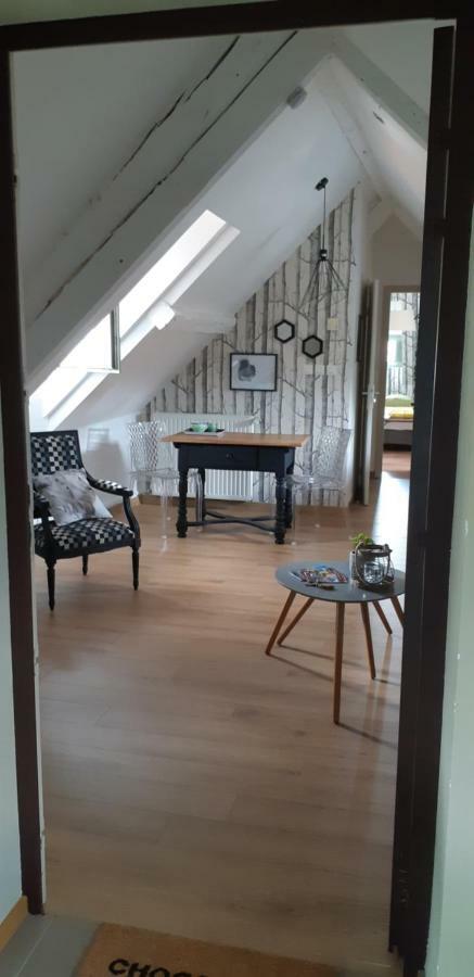 Chez Pauline Apartman Colmar Kültér fotó