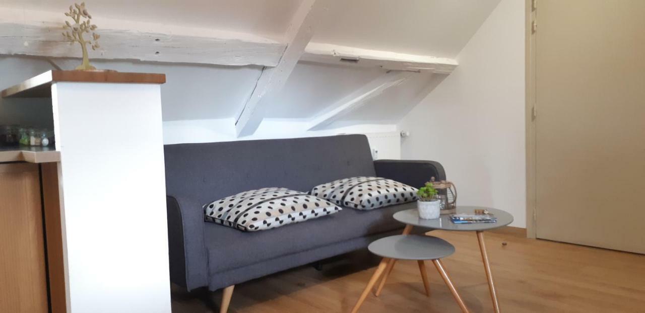 Chez Pauline Apartman Colmar Kültér fotó