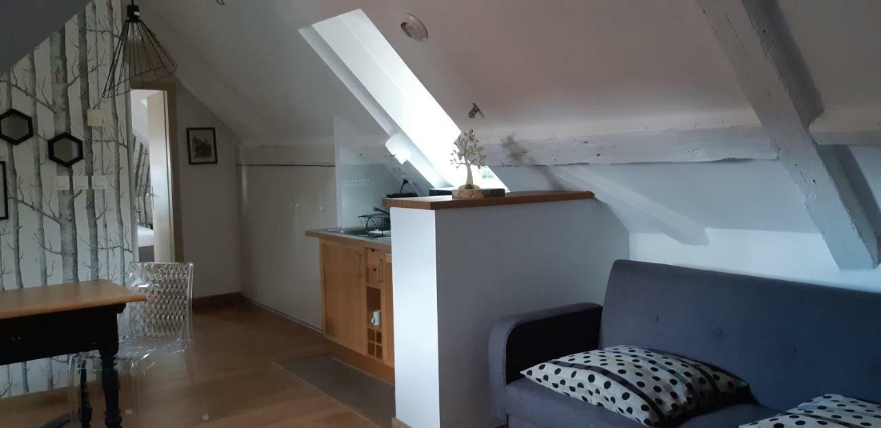 Chez Pauline Apartman Colmar Kültér fotó